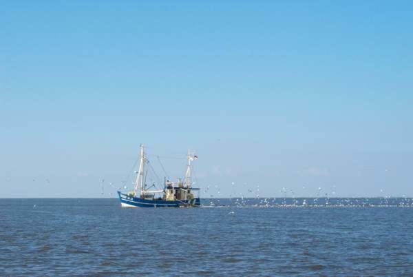 Nonnenganshauser Friedrichskoog Bagian luar foto